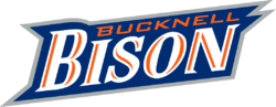 Bisons