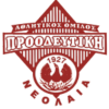 Proodeftiki