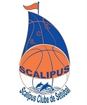 Scalipus