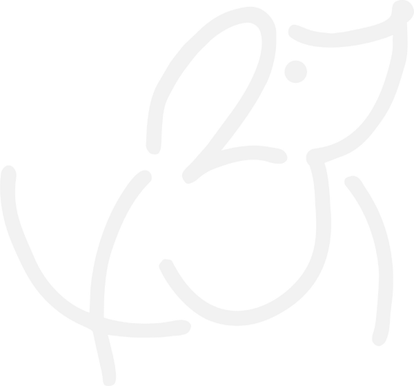1234