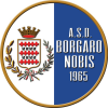 Borgaro