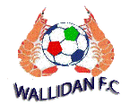 Wallidan