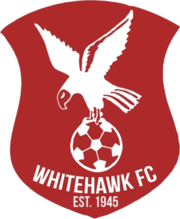 Whitehawk