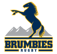 Brumbies