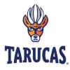 Tarucas